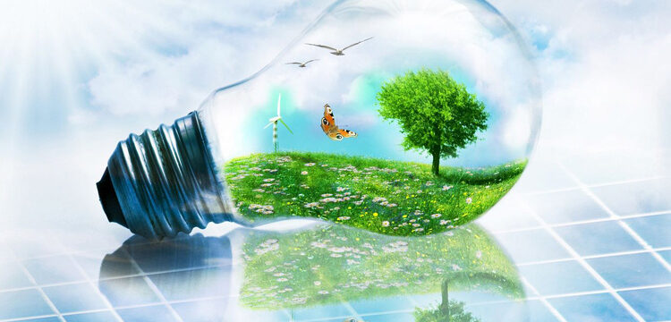 transition écologique