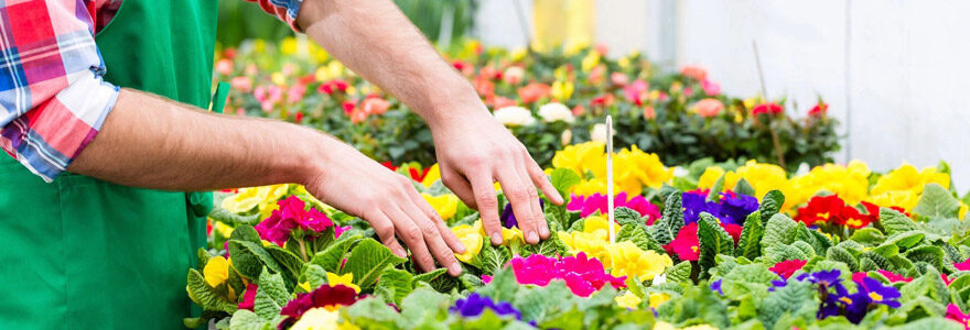 jardinerie.